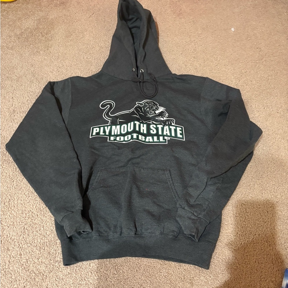 Champion Gray Athletic Hoodie